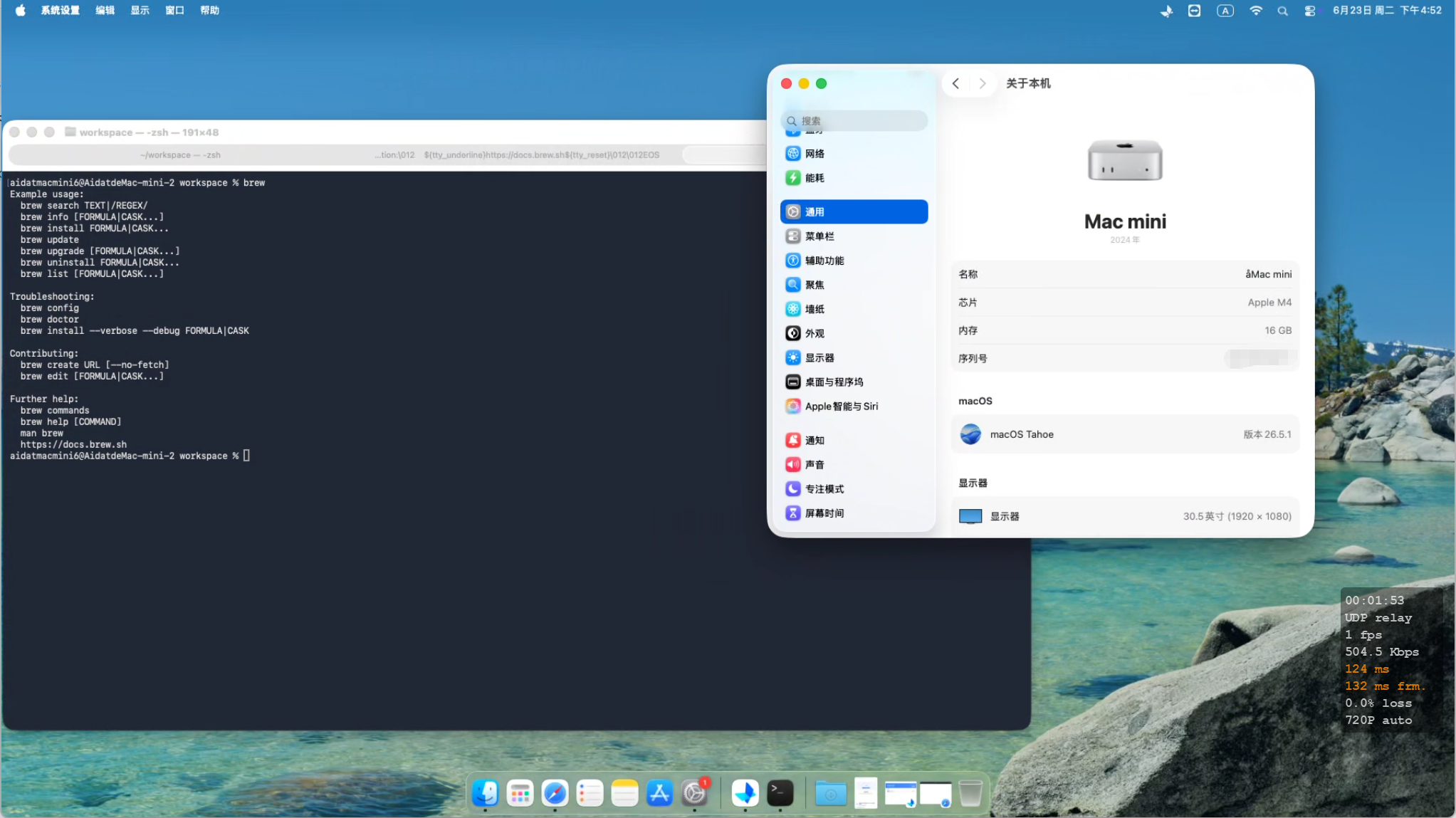 海外 Mac mini 远程桌面场景